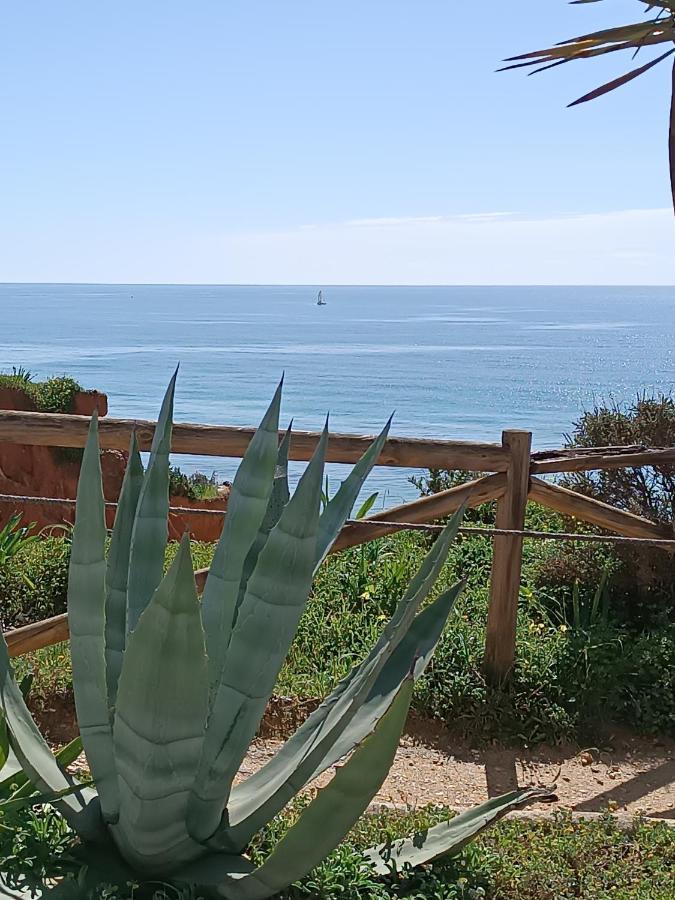 Mar A Vista Algarve Summer Портиман Екстериор снимка